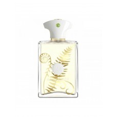 Amouage Bracken Man Tester edp 100 ml