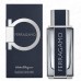 Salvatore Ferragamo Ferragamo Pour Homme edt 100 ml
