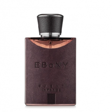 FR. WORLD EBONY Scent Intense edp (M) - Tester 100ml