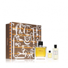 HERMES TERRE D'HERMES 100edt + tr.spray15 +40SG